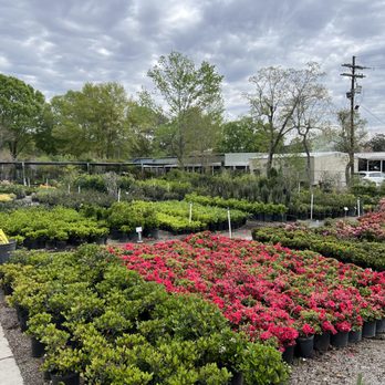 Plant Tech - Nurseries & Gardening Near Me - Baton Rouge, Louisiana Plant Tech - Nurseries & Gardening Near Me - Baton Rouge, Louisiana