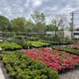 Photo of Plant Tech