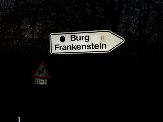 Frankenstein Castle by null