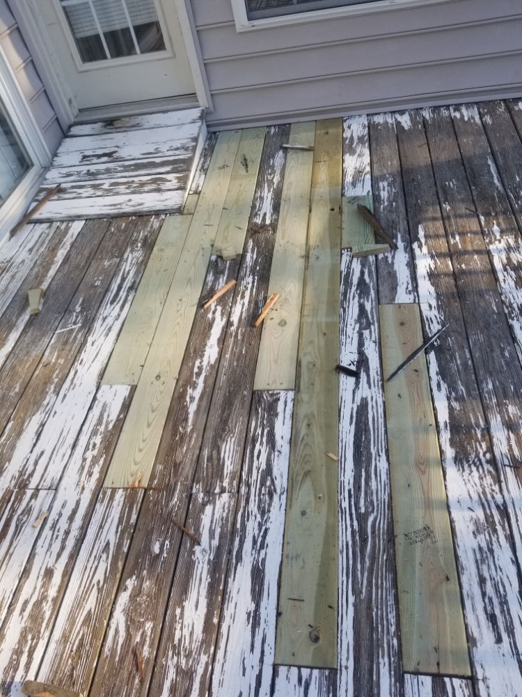 Slide of Lion Services