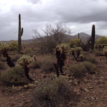 Lost Dog Wash Trail - Hiking Near Me - Scottsdale, Arizona Lost Dog Wash Trail - Hiking Near Me - Scottsdale, Arizona