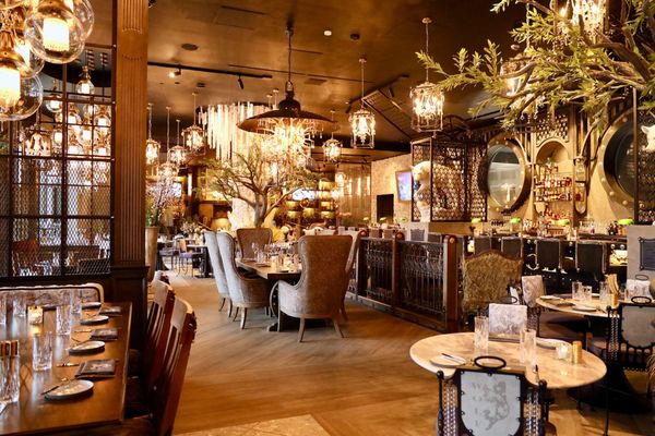 Wolf by Vanderpump at Caesars Republic Lake Tahoe by null