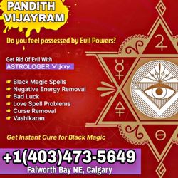 Famous Indian Astrologer