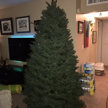 Todd's Christmas Trees - Christmas Trees Near Me - Long Beach, California
