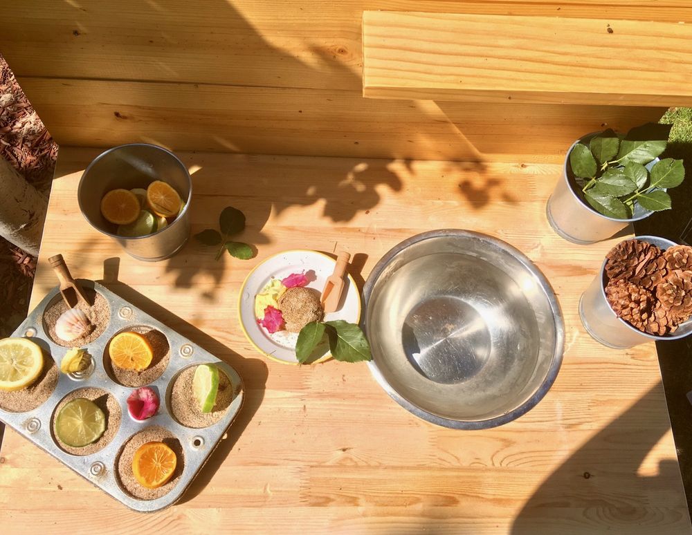 Nature's Organic Child Care - childcare center in Centennial, CO