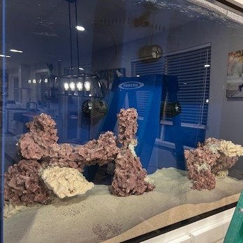 Tidy Tanks Aquarium - Aquarium Services Near Me Tidy Tanks Aquarium - Aquarium Services Near Me