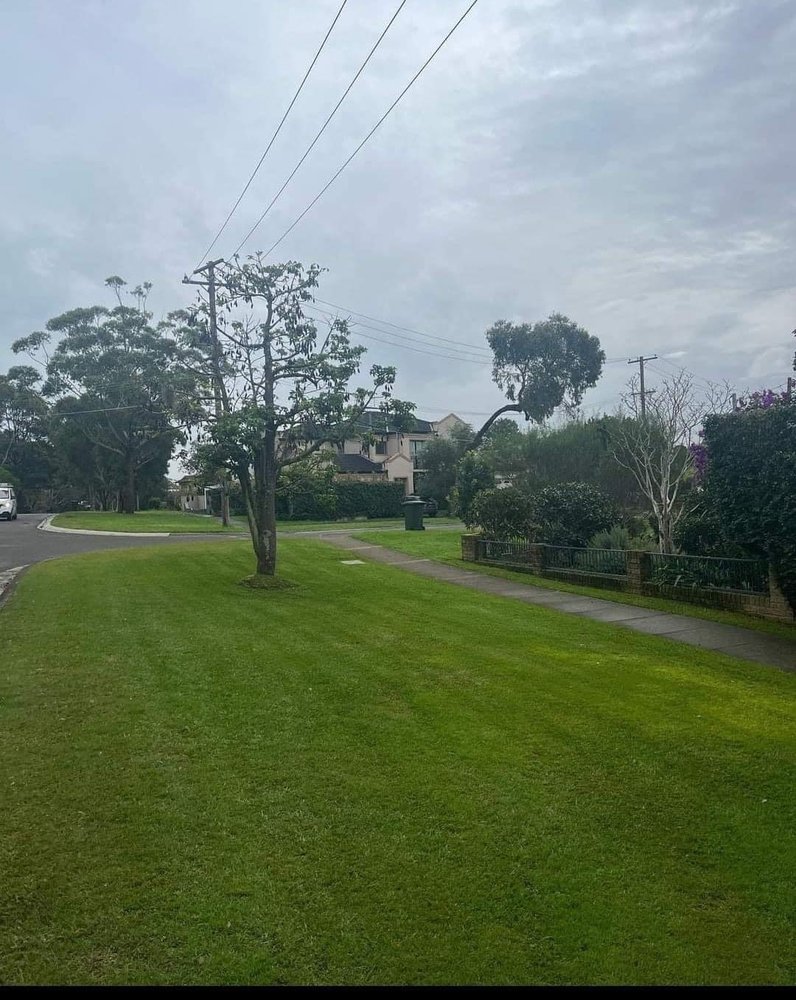 CAPITAL LAWNCARE AND LANDSCAPING Granite City, Illinois Yelp