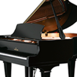 Vittone's Music Center