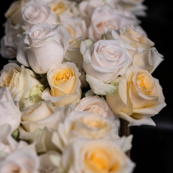 May Floral - Florists Near Me - Evanston, Illinois