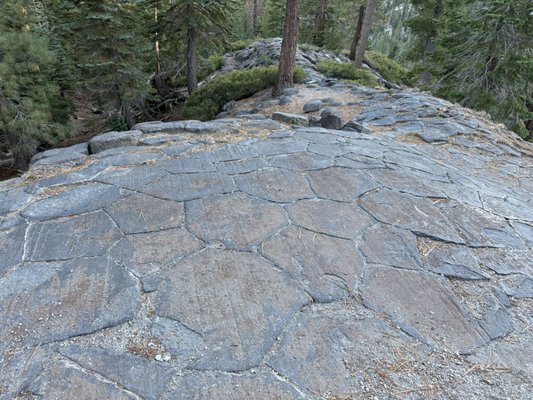 Devils Postpile National Monument by null