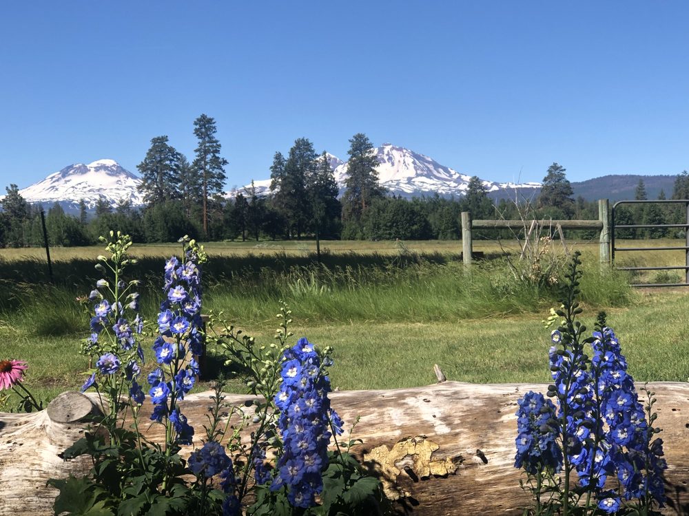 Slide of Blooming Desert Design + Build