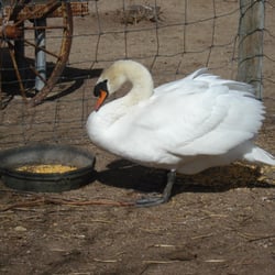 Eaton Grove Landscape & Nursery