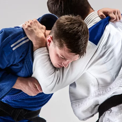 Sol BJJ