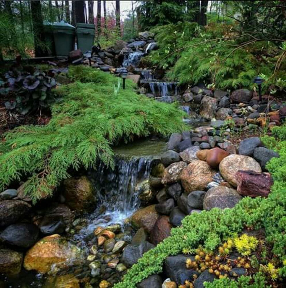 51 Photos Houston, Texas Landscape Architects or Designers Phone