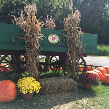 Spencer Farm - Fall, in a photo. - Pick Your Own Farms Near Me - Noblesville, Indiana Spencer Farm - Fall, in a photo. - Pick Your Own Farms Near Me - Noblesville, Indiana