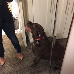 Happy Choco staycation @buckhead Happy Choco staycation @buckhead