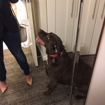 Oak Hill Animal Hospital - Beth McElhenny DVM - Happy Choco staycation @buckhead - Veterinarians Near Me - Covington, Georgia Oak Hill Animal Hospital - Beth McElhenny DVM - Happy Choco staycation @buckhead - Veterinarians Near Me - Covington, Georgia