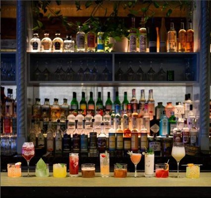 Condesa Phoenix by null