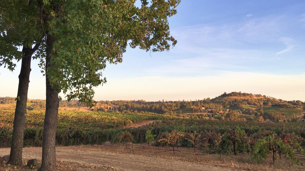 LINSTEADT FAMILY WINERY Updated June 2024 23200 Upton Rd, Plymouth