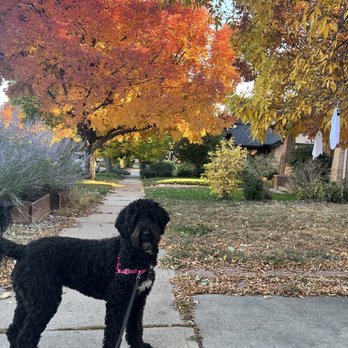 JK Grooming - Pet Groomers Near Me - Denver, Colorado JK Grooming - Pet Groomers Near Me - Denver, Colorado