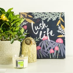 Stein's Garden & Home