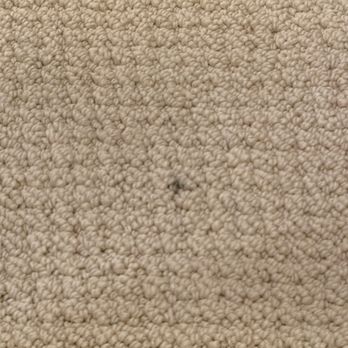 USA Carpet & Couch Cleaning - Carpet Cleaning Near Me - Oakland, California