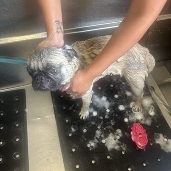 Unleashed - Pet Stores Near Me - Chula Vista, California