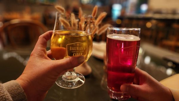 Bauman's on Oak by null