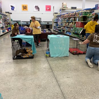 PetSmart - Dog adoption day - Pet Training Near Me - Orlando, Florida