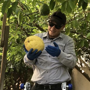 Kilo Sierra Pest Solutions - Pest Control Near Me Kilo Sierra Pest Solutions - Pest Control Near Me