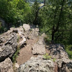 Rattlesnake Point - Looking for top rope?