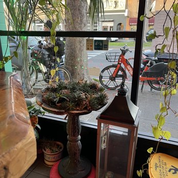 El Patio - Inside decor - Bars Near Me - Berkeley, California
