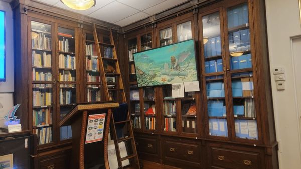 History of Diving Museum by null