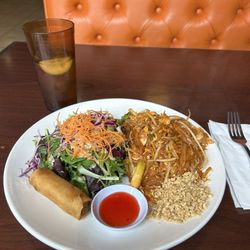 Jasmine Thai Restaurant - Excellent and generous lunch special (chicken pad Thai).