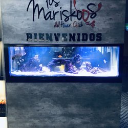 Los Mariskoos - Entrada y tanque de pesacaditos