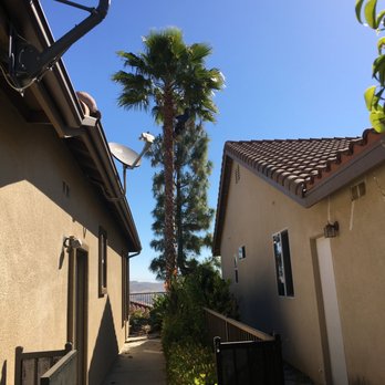 Ortega's Jr Tree Service - Tree Services Near Me - Riverside , California Ortega's Jr Tree Service - Tree Services Near Me - Riverside , California
