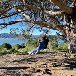 Hippie Tree - The view