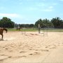Photo of Aaa Moore Park Stables