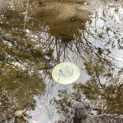 Mountain Pride Disc Golf Course - Oops