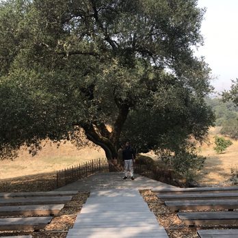 Mountain House Estate - Oak Tree Terrace - Venues & Event Spaces Near Me - Cloverdale, California
