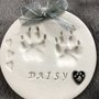 Photo of Family Animal Services