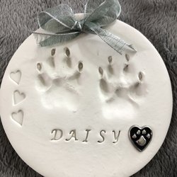Family Animal Services - No words...