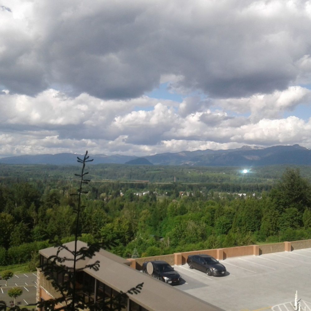 Falls Buffet - Great view - Buffets Near Me - Snoqualmie, Washington