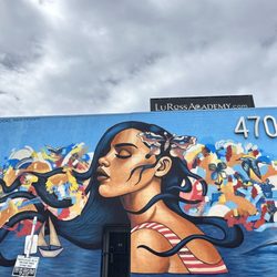 Lu Ross Academy