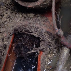 D Martin Plumbing & Sewer Service