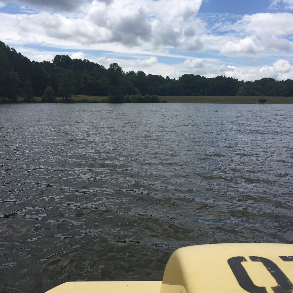 View from the pedal boat... View from the pedal boat...