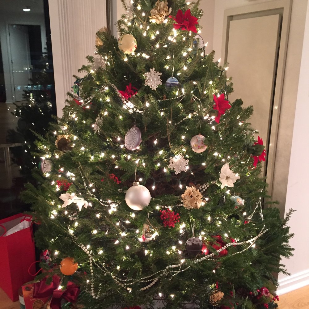 Topshelf - Christmas tree from Top Shelf- Dec 2016 - Convenience Stores Near Me - Boston, Massachusetts