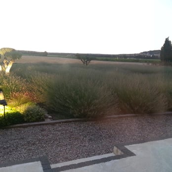 Entre Vigne et Garrigue - Beautiful view of lavender and grapevine fields - French Near Me - Pujaut, 30