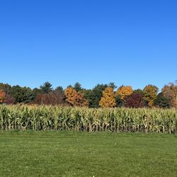Schartner Farms
