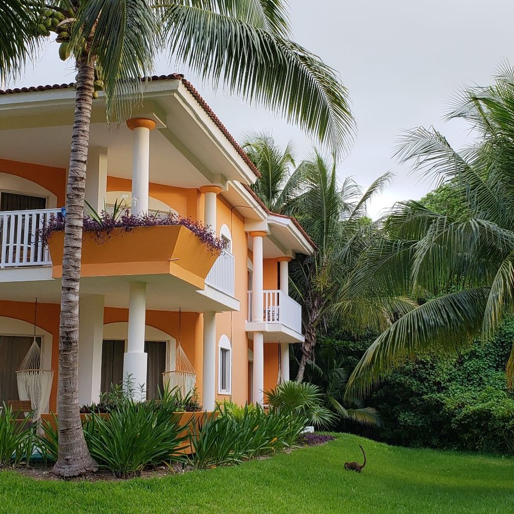 Ocean Maya Royale - Hotels Near Me - Quintana Roo, ROO
